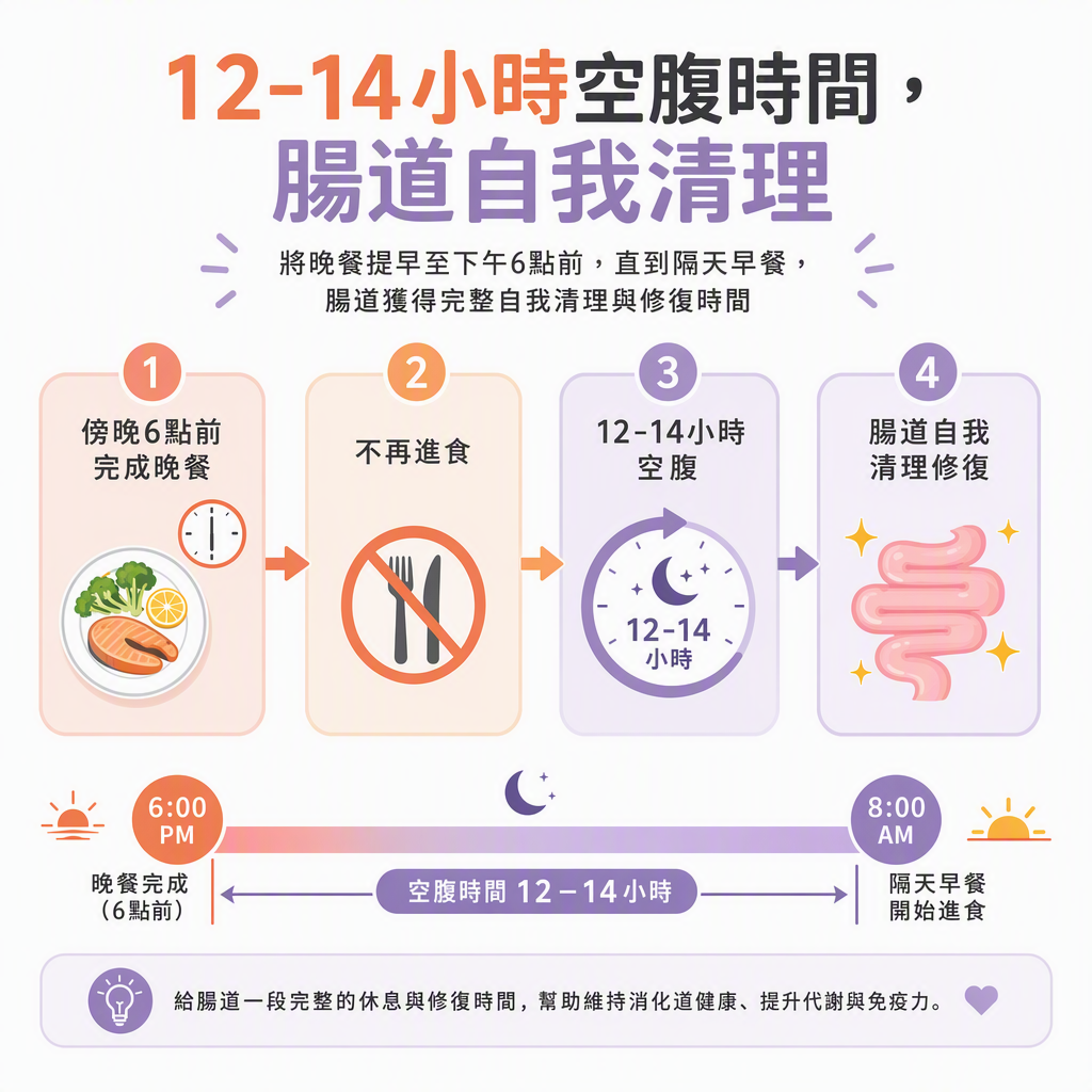 腸道輕斷食時間流程圖