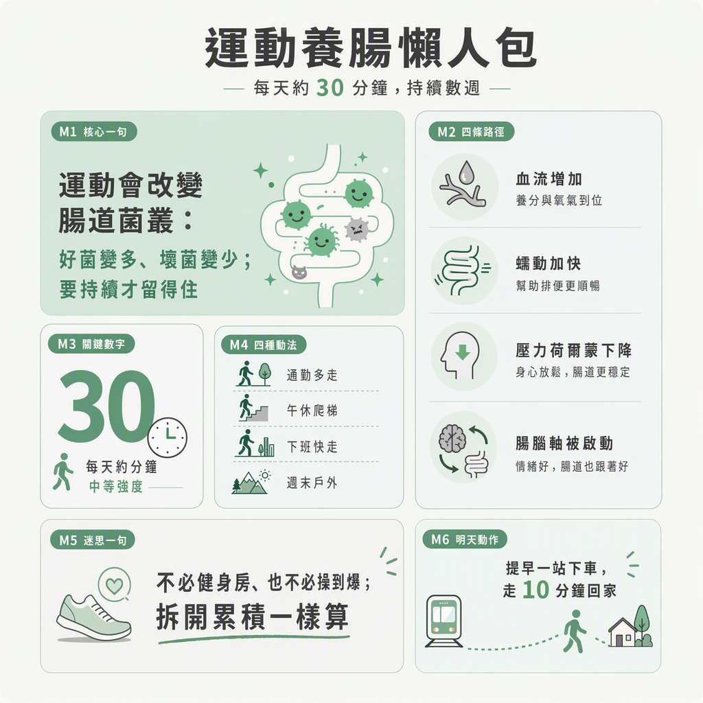 三十分鐘養腸懶人包