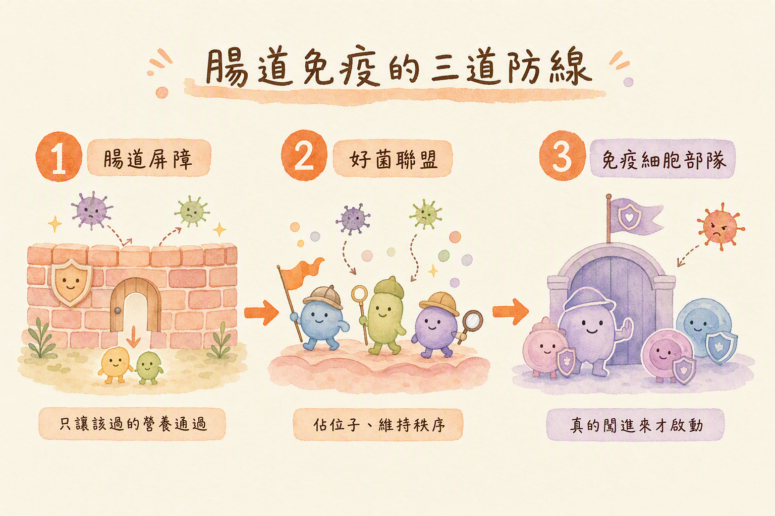 腸道免疫三道防線