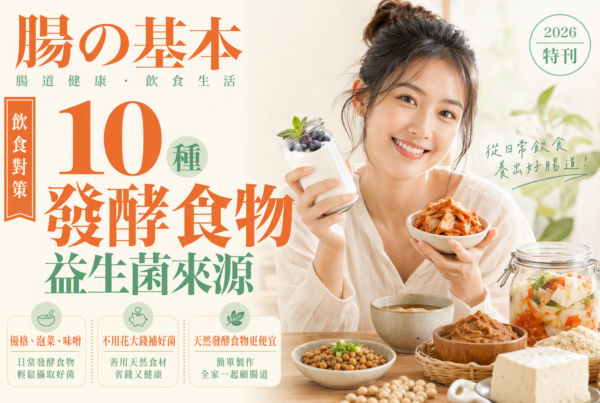 優格泡菜發酵食物