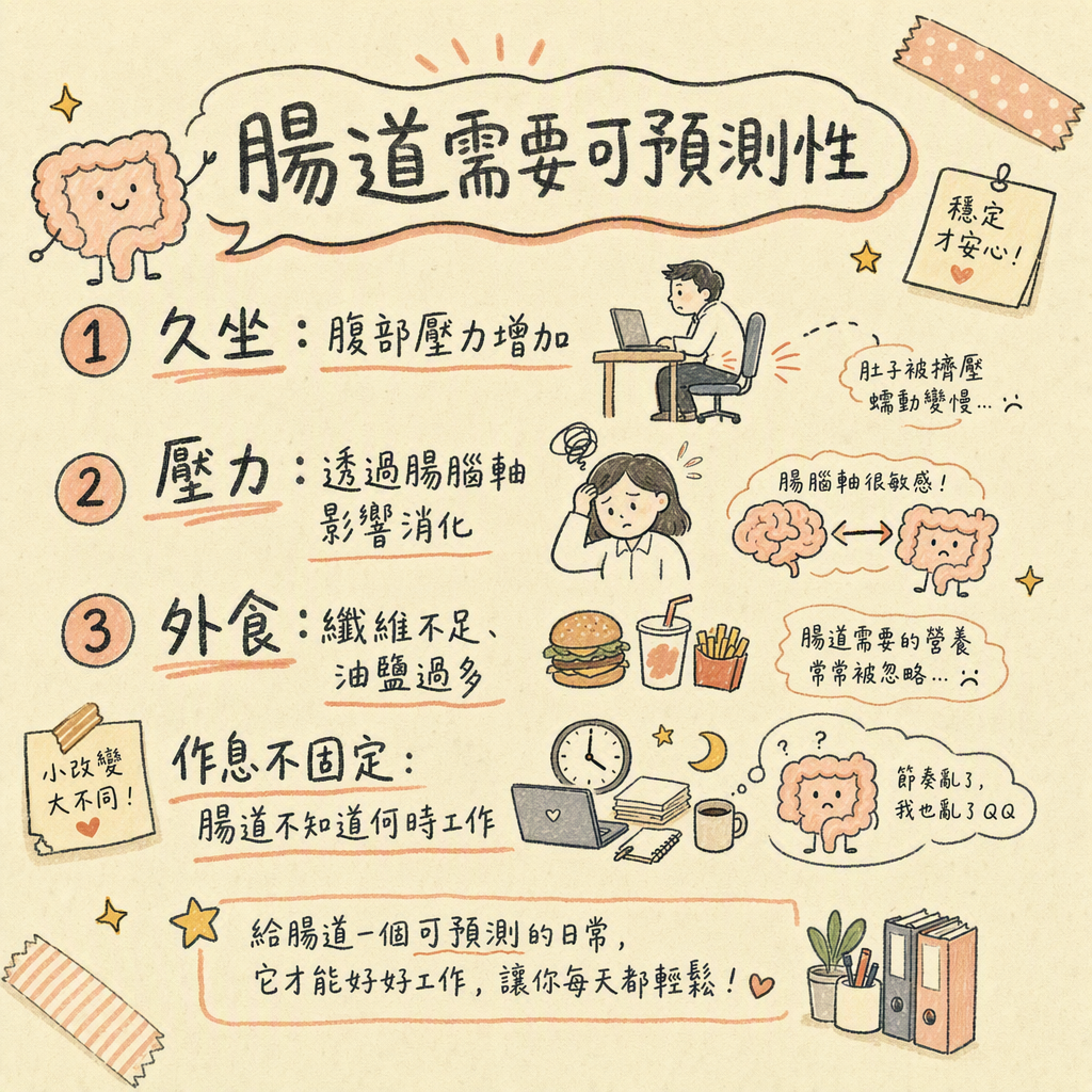 上班族腸道為什麼容易出狀況的手