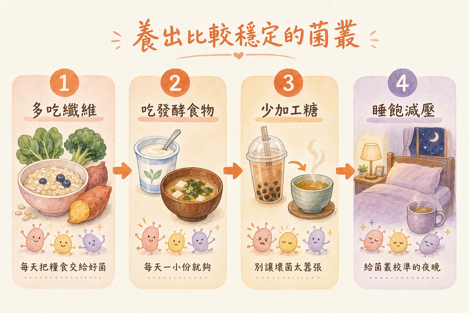 養菌四步驟:纖維、發酵、少糖、