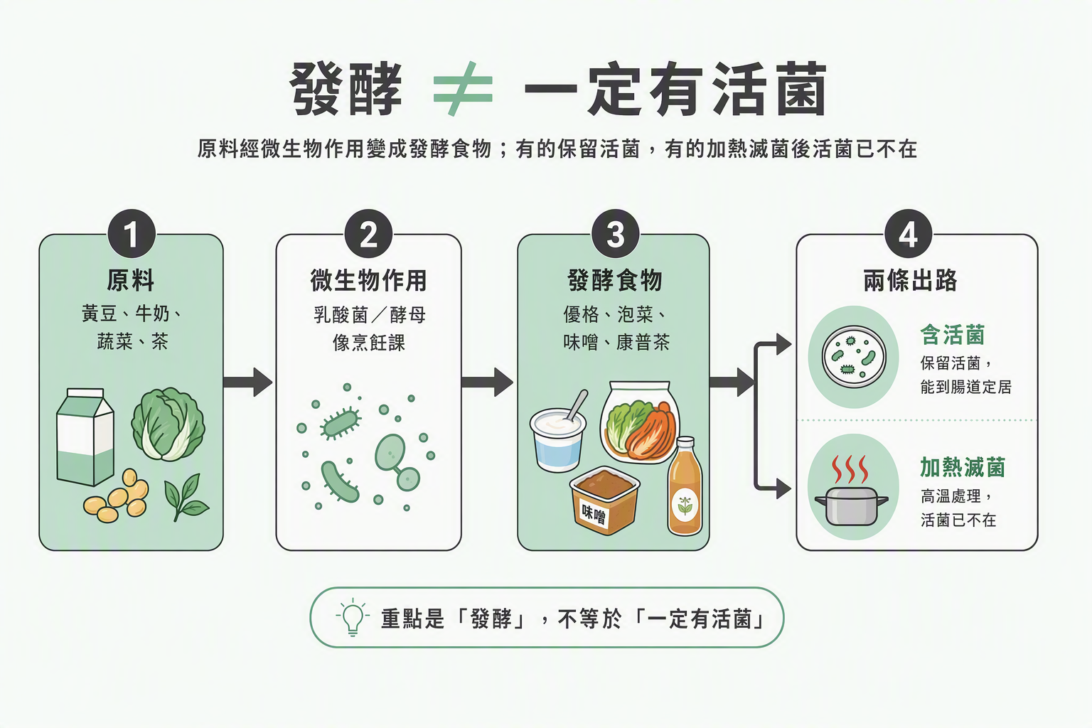 原料經微生物作用變成發酵食物，