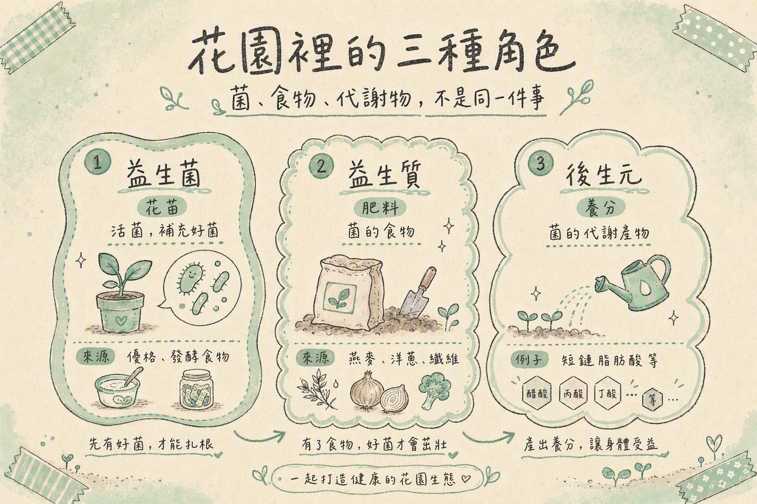 花苗肥料養分三張手繪卡