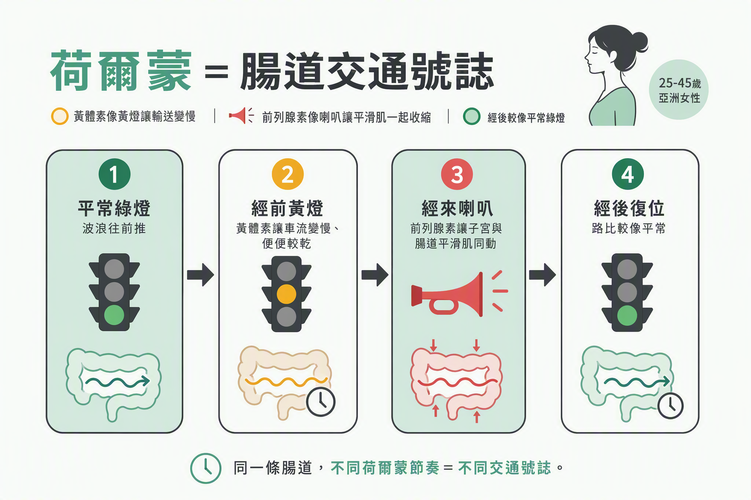 黃體素黃燈與前列腺素號誌圖