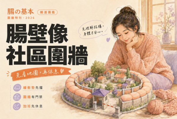 亞洲女性看圍牆模型談腸道屏障